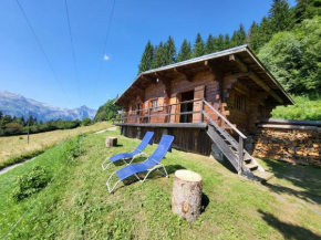 Chalet d'alpage avec vue incroyable